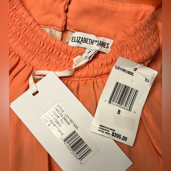 NWT Elizabeth and James Carlita Dress in Orange Sherbert Silk High Neck Size 8 - Picture 3 of 15